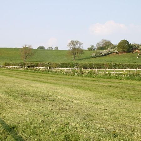 Hostal Wootton Park Wootton Wawen Exterior foto